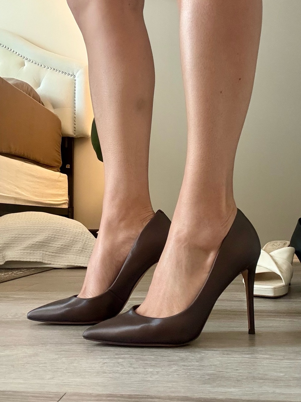 Aldo Pointed-Toe Stiletto Heels in Dark Brown